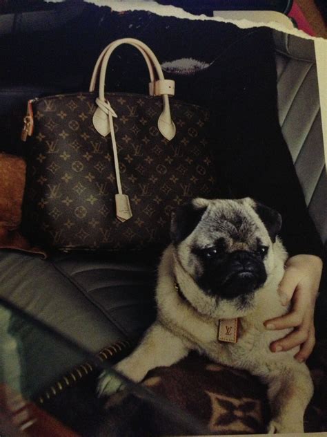 louis vuitton pug|Dog Bag Monogram .